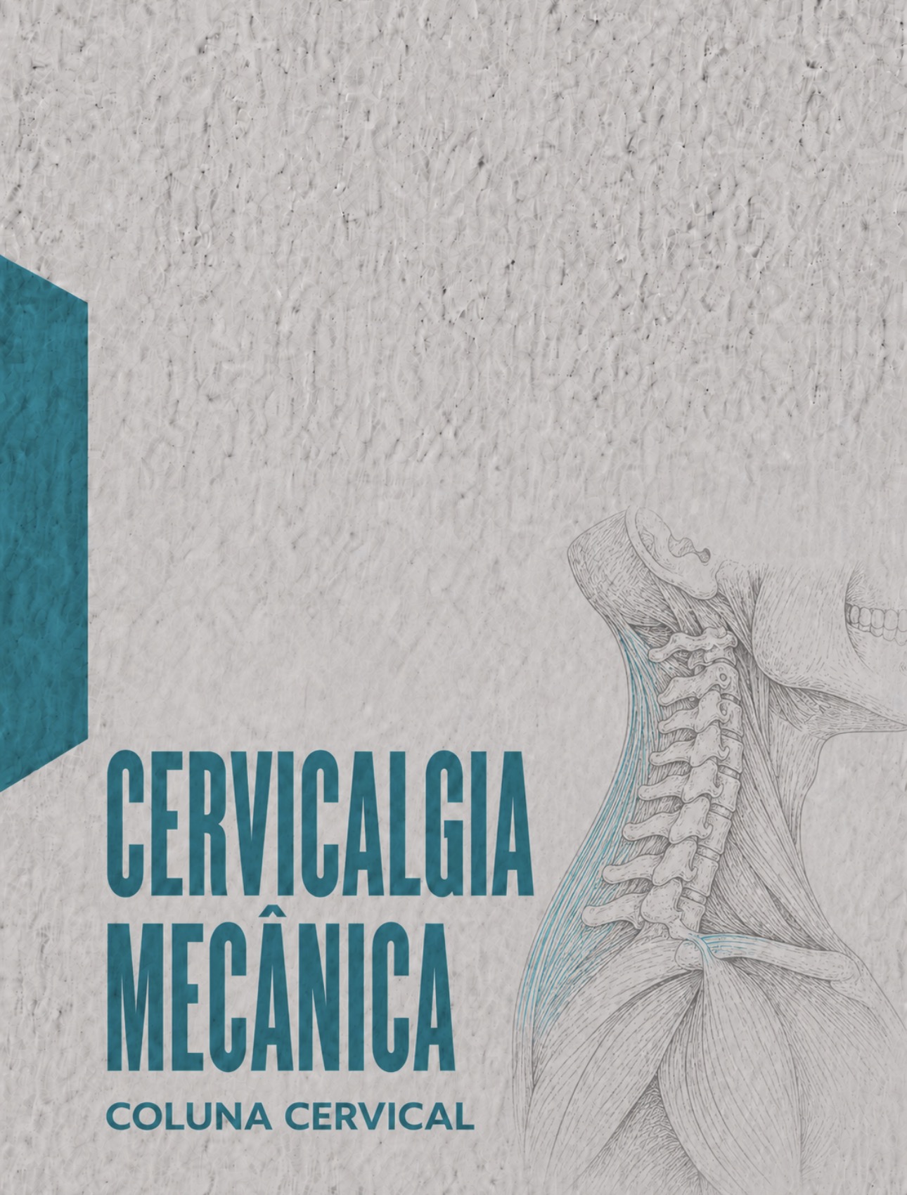 Ilustração médica das vértebras cervicais e musculatura paravertebral na cervicalgia