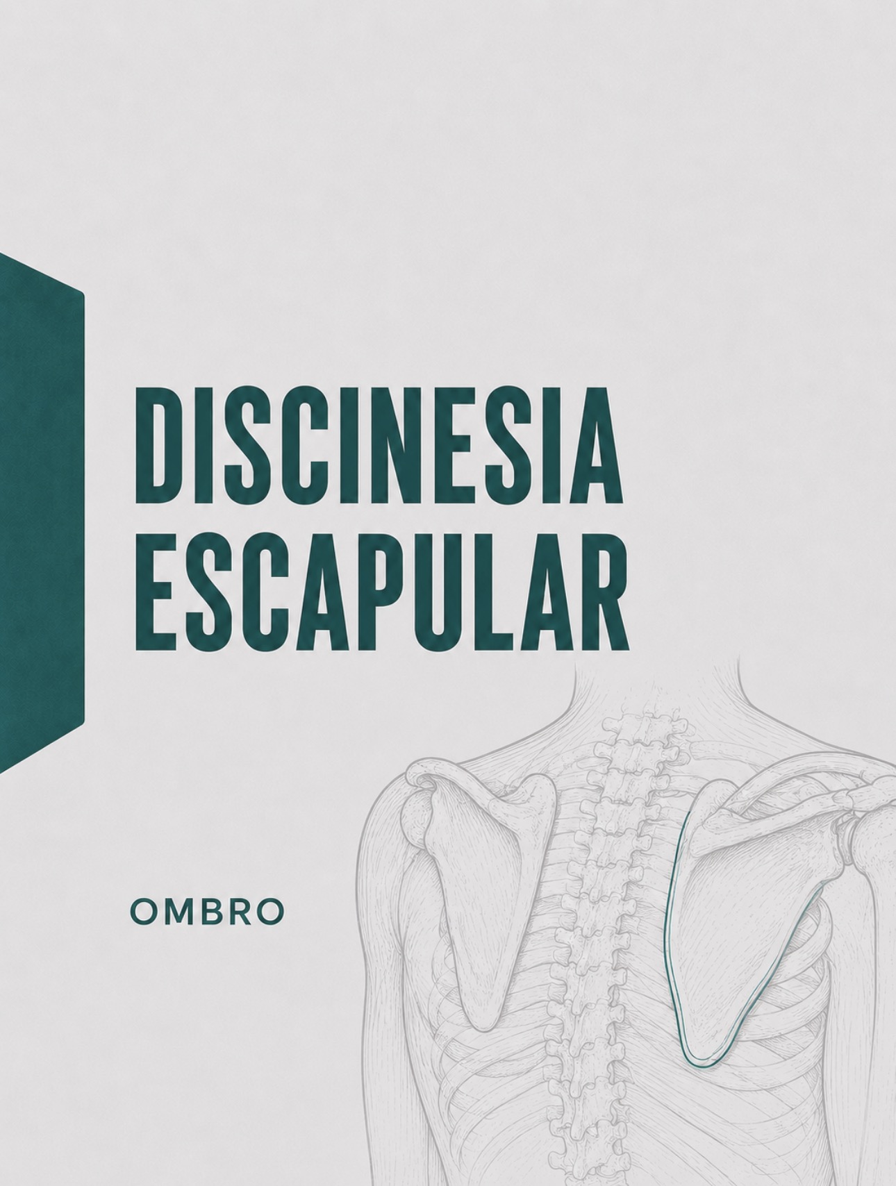 Ilustração médica da cintura escapular e mobilidade da omoplata na discinesia escapular