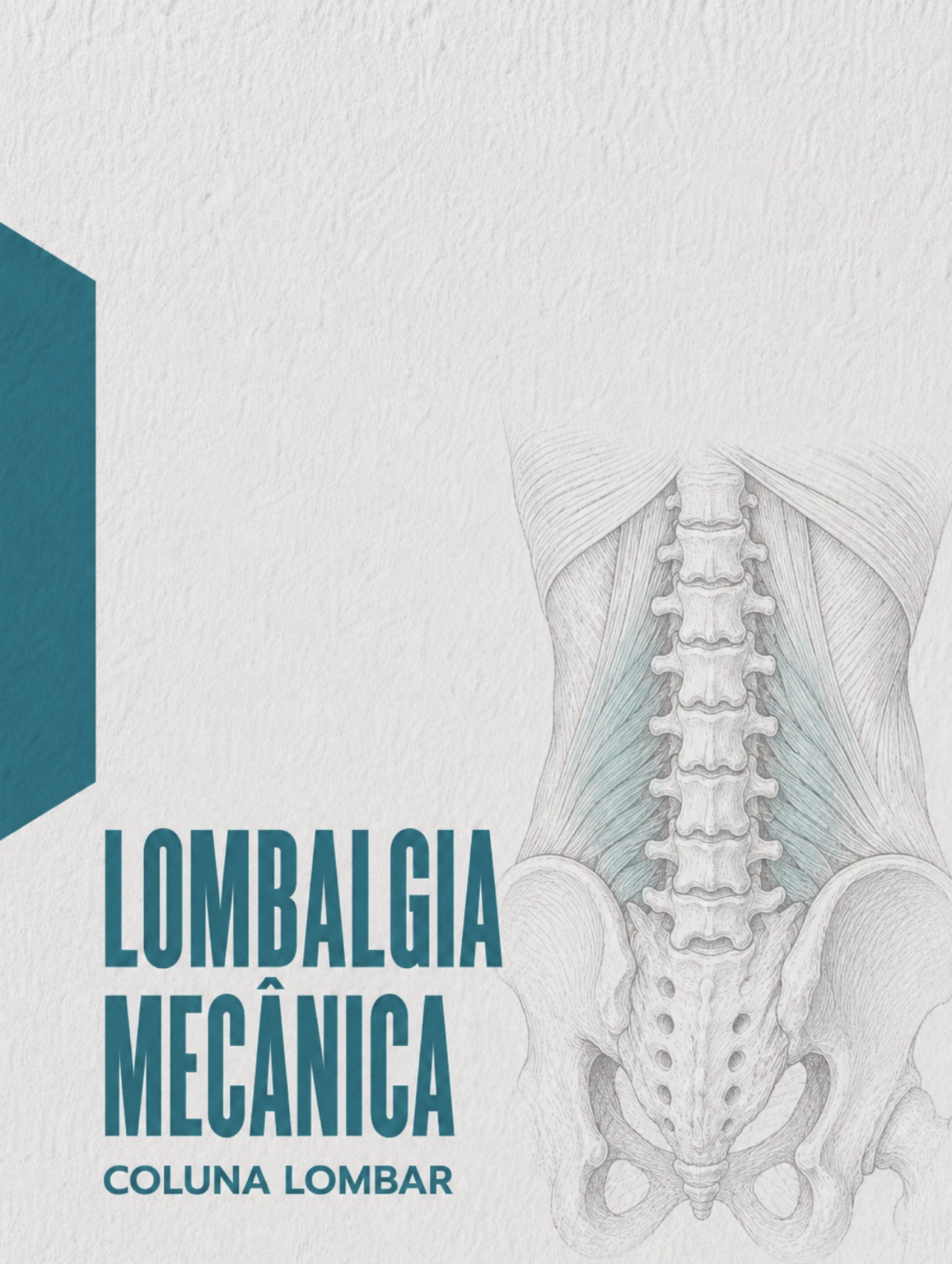 Ilustração médica da coluna lombar e estruturas biomecânicas na lombalgia