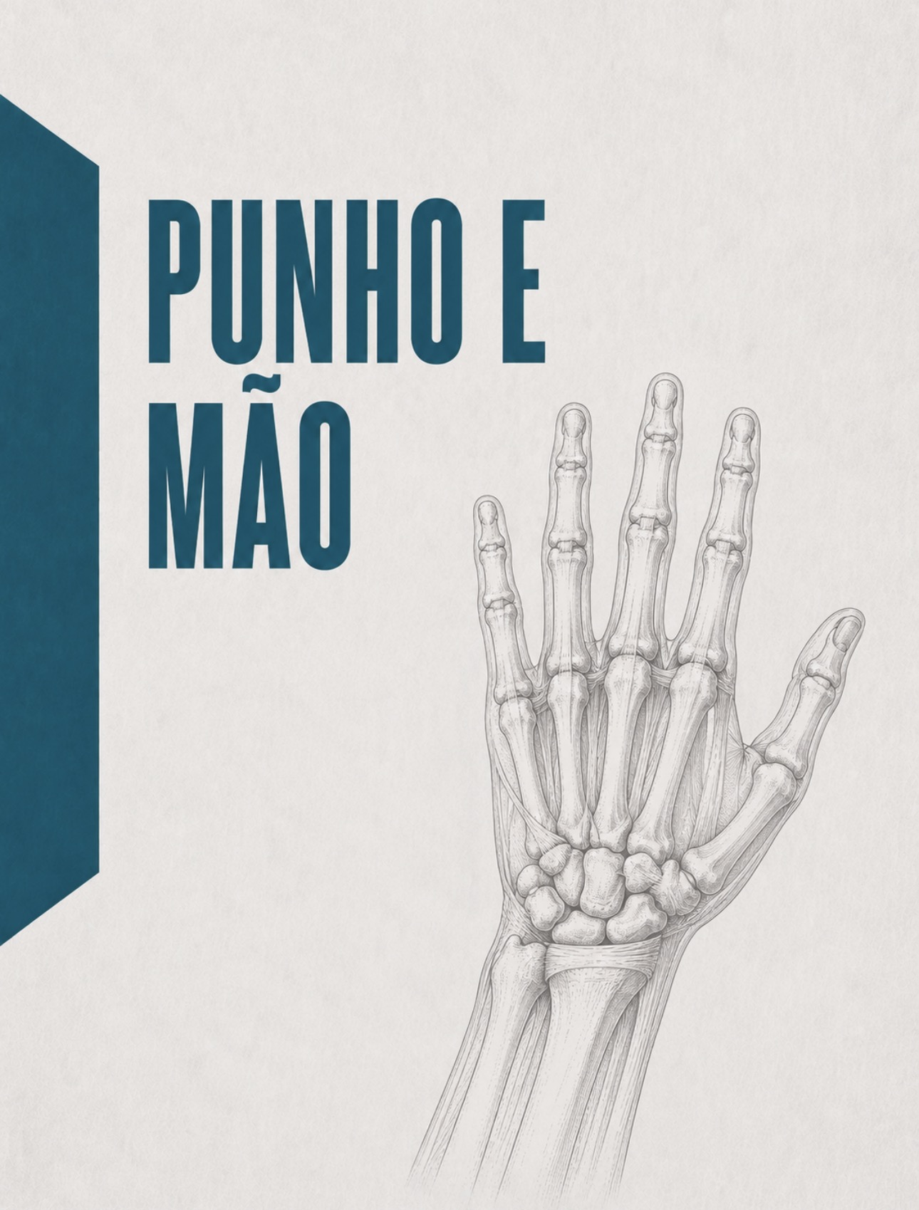 Ilustração anatómica da região do punho e da mão